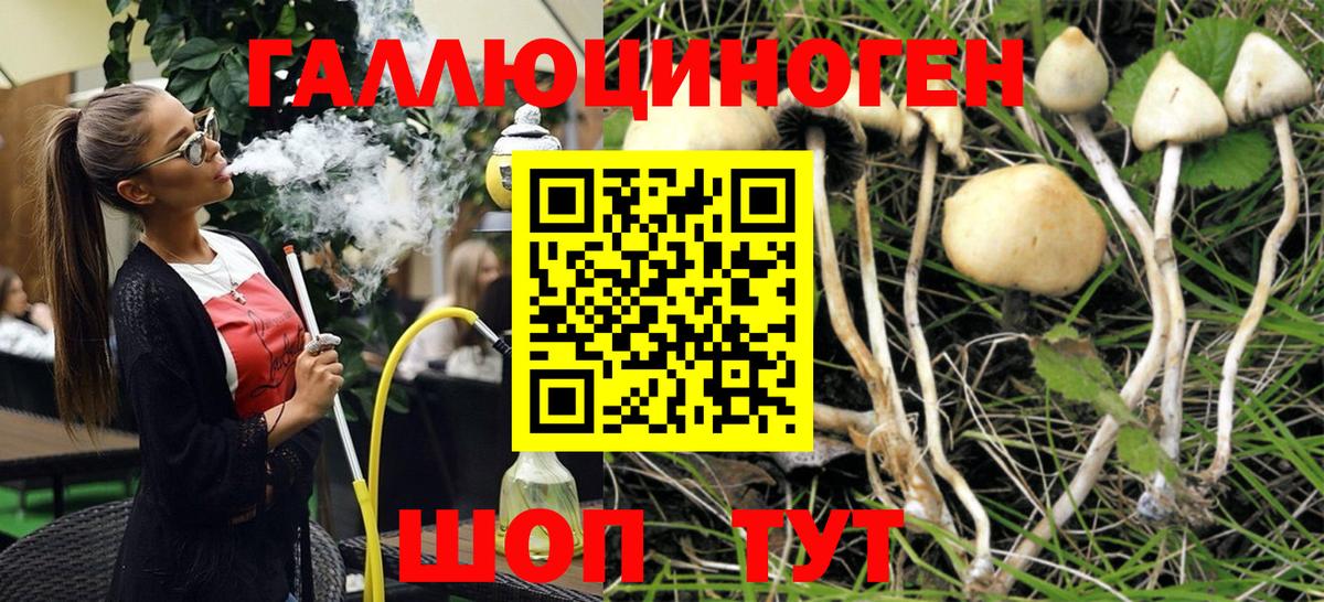 Псилоцибиновые грибы мухоморы Рузаевка