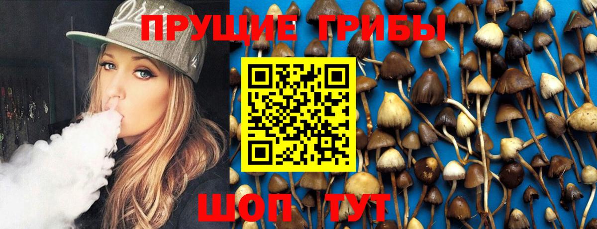 Рузаевка  Галлюциногенные грибы Psilocybe  Галлюциногенные грибы ЛСД  Вход с VPN 